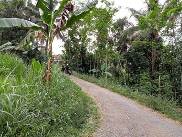 Tanah pekarangan di Jomboran, Turi: Harga Murah Bisa Nego