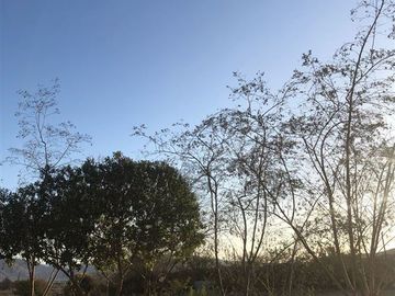 Parcela en Venta en Parcela en venta en Hacienda San Fco. Piedra Colgada