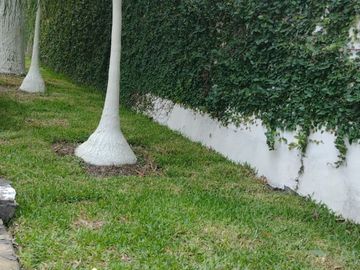 QUINTA EN VENTA, ALTAMIRA - ALLENDE N.L.