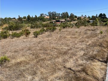 CASABLANCA / EL BATRO / TERRENO 5.300 MT2