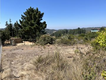 CASABLANCA / EL BATRO / TERRENO 5.300 MT2