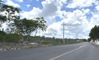 Terreno en Venta Temozón Norte Mérida Yucatán ideal para desarrollos