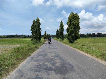 Kavling Tanah SHM, Luas 170m Dekat Stasiun Jenar Purworejo