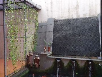 Rumah Terawat Dihuni 2 Lantai di Rajawali Bintaro Sektor 9 - 2604