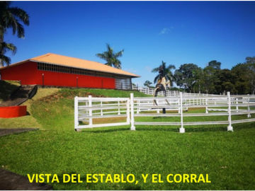 VENTA CASA CON TERRENO EN LA CHORRERA CERRO CAMA