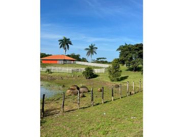 VENTA CASA CON TERRENO EN LA CHORRERA CERRO CAMA