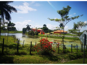 VENTA CASA CON TERRENO EN LA CHORRERA CERRO CAMA