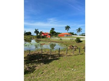 VENTA CASA CON TERRENO EN LA CHORRERA CERRO CAMA