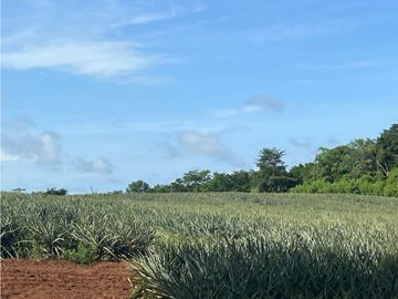 VENTA CASA CON TERRENO EN LA CHORRERA CERRO CAMA