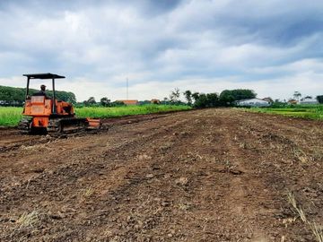 2 Km Pasar Banjaran Tegal: Lahan Matang