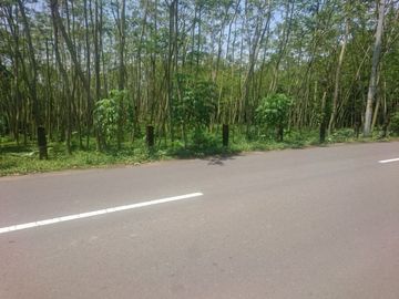 Tanah Pekarangan Luas Lokasi Pinggir Jalan di Wonokerto