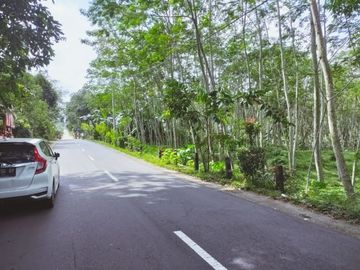 Tanah Pekarangan Luas Lokasi Pinggir Jalan di Wonokerto