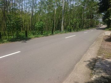Tanah Pekarangan Luas Lokasi Pinggir Jalan di Wonokerto