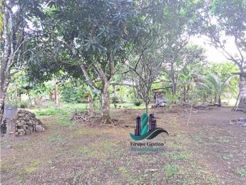 VENDO HERMOSA CASA CON TERRENO DE 1550M2 VIA FRONTERA