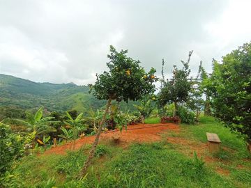 finca en venta en vereda carbonero. Cod V104645