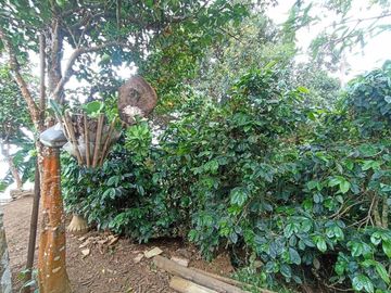finca en venta en vereda carbonero. Cod V104645