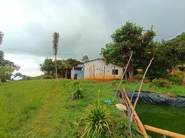 finca en venta en vereda carbonero. Cod V104645