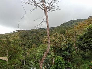finca en venta en vereda carbonero. Cod V104645