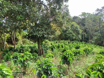 finca en venta en vereda carbonero. Cod V104645