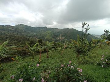 finca en venta en vereda carbonero. Cod V104645