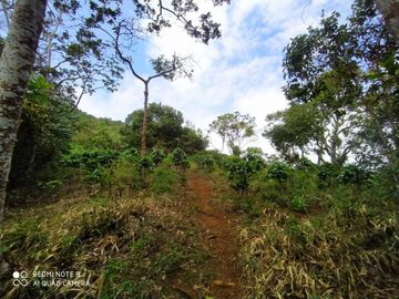 finca en venta en vereda carbonero. Cod V104645