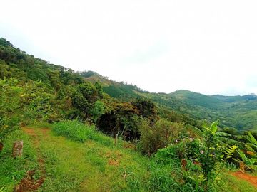 finca en venta en vereda carbonero. Cod V104645