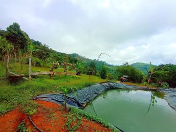 finca en venta en vereda carbonero. Cod V104645