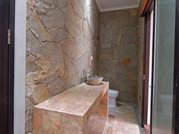 Disewakan Rumah Cantik Ada Swimming Pool Di Bintaro Sektor 7 - CW 6580