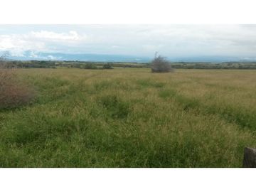 Finca en venta en Saldaña  Tolima