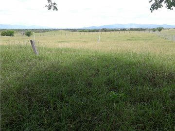 Finca en venta en Saldaña  Tolima