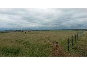 Finca en venta en Saldaña  Tolima