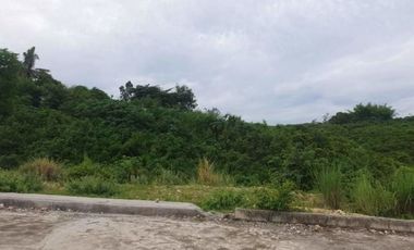 OVERLOOKING 208 SQM Lot for Sale in VISTA VERDE CONSOLACION CEBU with Scenic City Views