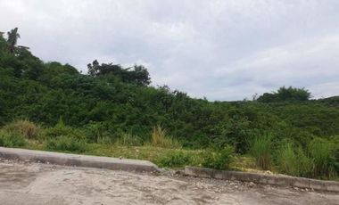 OVERLOOKING 208 SQM Lot for Sale in VISTA VERDE CONSOLACION CEBU with Scenic City Views