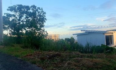 Very Affordable 150 Sqm Lot for Sale in Vista Grande Talisay Cebu City