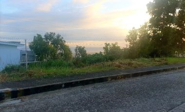 Very Affordable 150 Sqm Lot for Sale in Vista Grande Talisay Cebu City