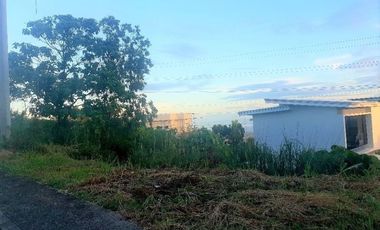 Very Affordable 150 Sqm Lot for Sale in Vista Grande Talisay Cebu City