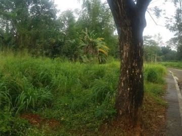 FOR SALE: Two Adjacent lot in Antipolo