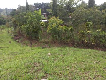 Te vendo esta linda casa finca a dos minutos de la doble calzada entre Girardota y Hatillo bien barata