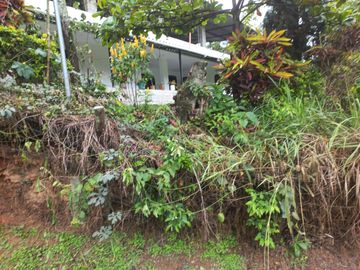 Te vendo esta linda casa finca a dos minutos de la doble calzada entre Girardota y Hatillo bien barata