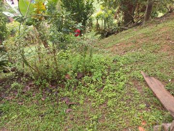 Te vendo esta linda casa finca a dos minutos de la doble calzada entre Girardota y Hatillo bien barata