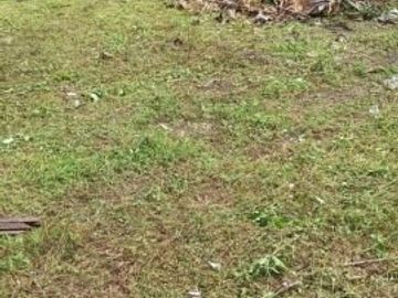 DIJUAL TANAH RANDEGANSARI DRIYOREJO GRESIK
