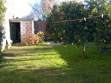 CASA