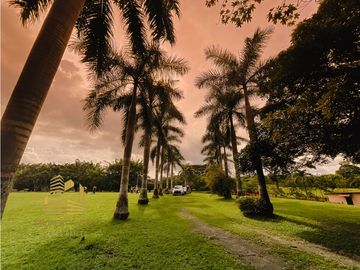 Se Vende finca Ecuestre en Chame