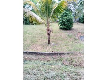VENDO TERRENOS EN ARRAIJAN