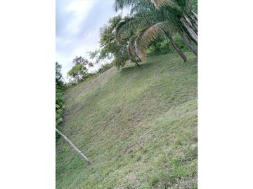 VENDO TERRENOS EN ARRAIJAN