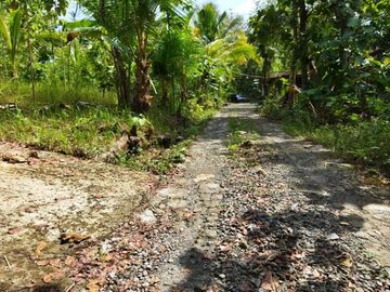 Rumah Murah lokasi asri pedesaan di Kulon Progo bisa KPR
