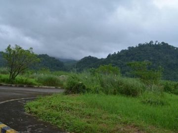 Lot for sale at Baras Rizal Palo Alto