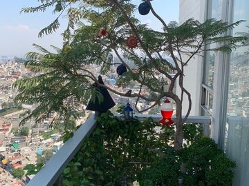 Penthouse en venta en Palo Solo