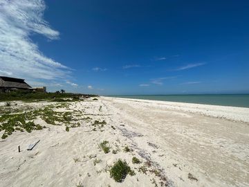 Beachfront apartments in Sisal