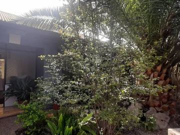 ROJAS MAGALLANES, LA FLORIDA